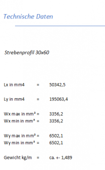 Strebenprofil 30x60 Nut 8 - Stab à 6000mm